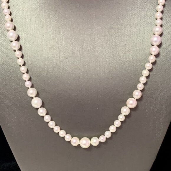Akoya Pearl Necklace 14k Yellow Gold 19.5" 8.5 mm Certified $3,950 114446 - Picture 10 of 11